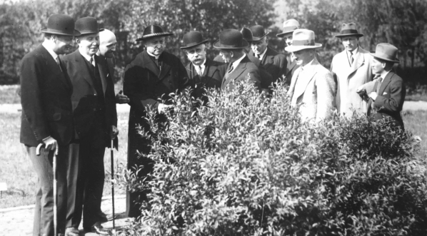  Wizyta ministra wyznań religijnych i oświecenia publicznego Janusza Jędrzejewicza w Szkolnym Ogrodzie Botanicznym w Poznaniu w maju 1932 roku.  