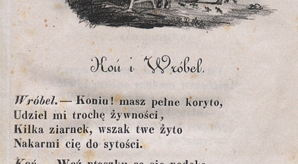  "Koń i Wróbel" Konstancji Łubieńskiej.  