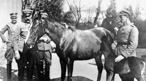 Naczelnik Państwa Józef Piłsudski z kasztanką i źrebakiem.  