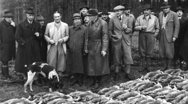  Polowanie reprezentacyjne w lasach Komory Cieszyńskiej, Stalowa Wola listopad 1936 roku.  