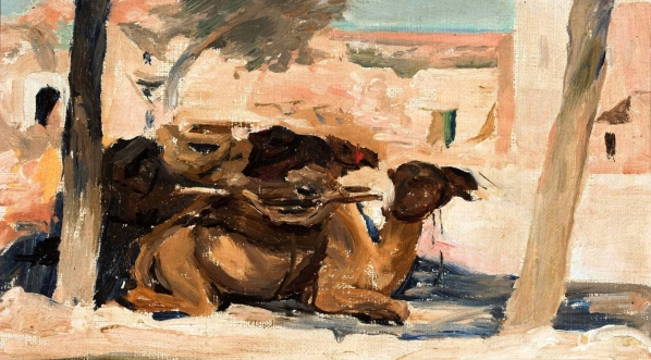  "Wielbłąd. Z podróży do Palestyny" Jana Ciąglińskiego.  