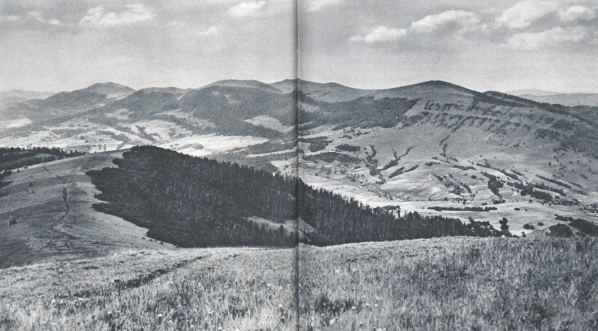  "Połonina Wetlińska przykładem piękna karpackiego krajobrazu".  