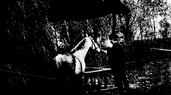  Witold Pruszkowski w Mnikowie.  