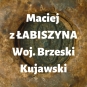 Maciej z Łabiszyna h. Laska